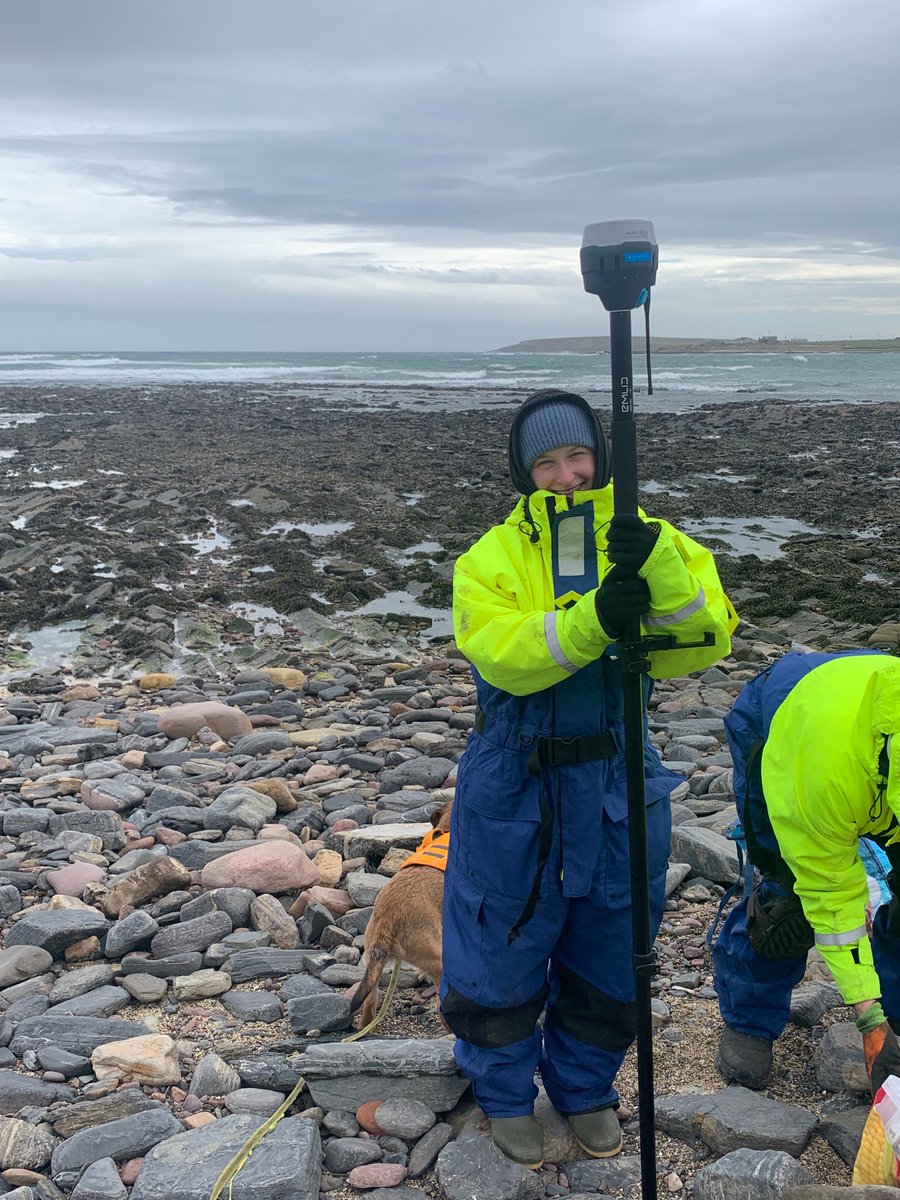 Very windy on the shore today at our ‘Totem Pole’ disturbance-recovery site in Orkney ! 🌊 @Martynazawadz @JoanneSPorter @BefScale