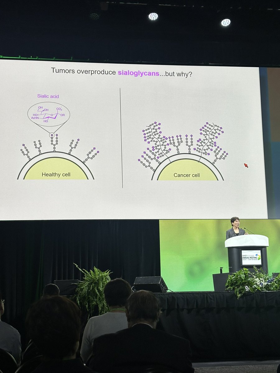 The amazing clarity and brilliant science in @CarolynBertozzi talk is so inspiring #AACR24