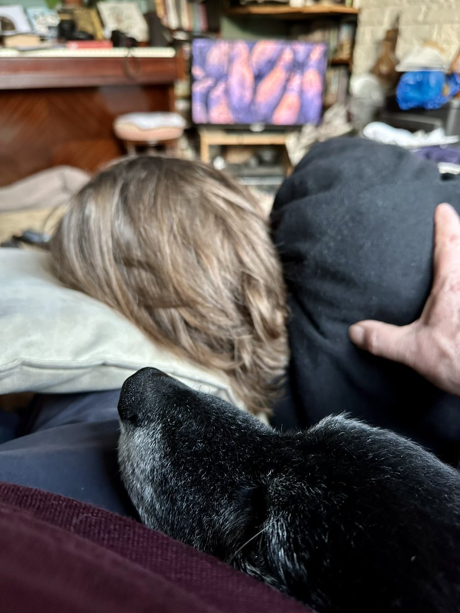 Watching Mammals @BBCOne with my mammals sharing my lap!! Crowded like a hippo pond on here!! @cameraZoe #DavidAttenborough