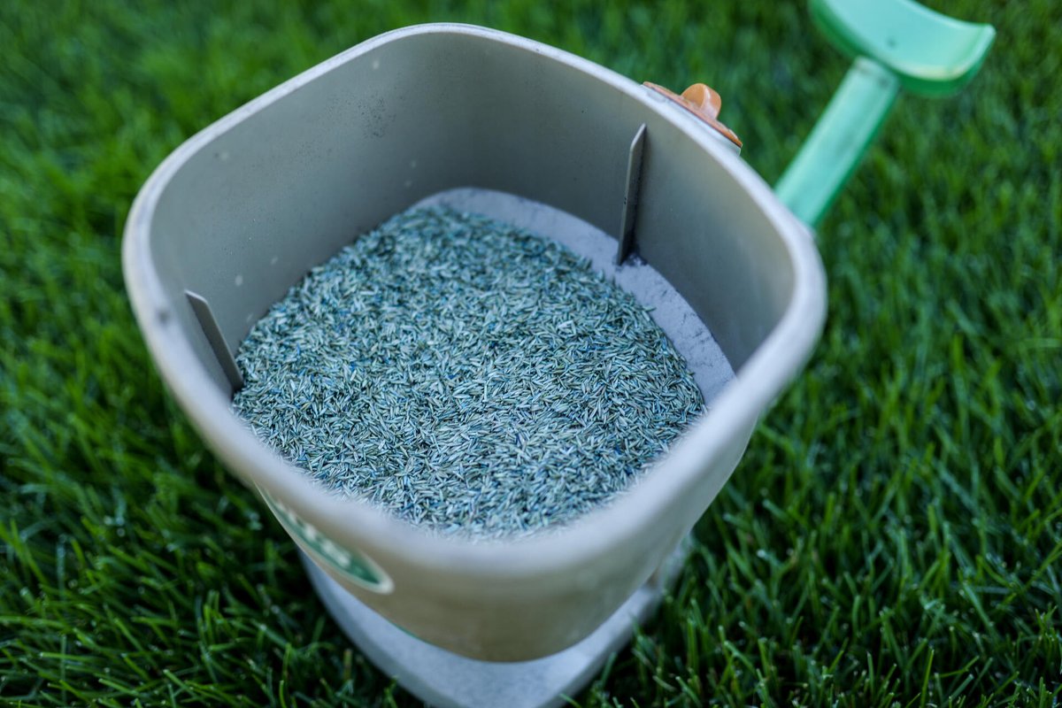 Patience is a gardener's best friend! Hold off on seeding your lawn until soil temps rise for optimal germination. Rushing now could mean lackluster results later. Your dream lawn deserves the best start! 💚 #LawnCareTips #PatienceIsKey