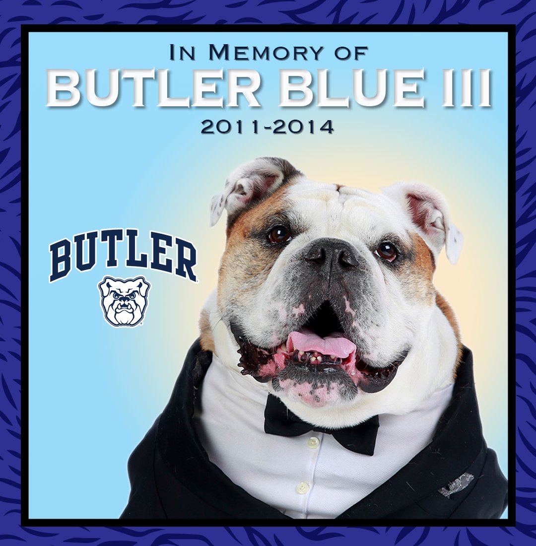 Everyone here at the @MascotHall of Fame join the mascot community in sending our sincerest condolences and sympathies to @ButlerU and their alumni on the passing of @ButlerBlue3. When he visited us, Tripp was as lovable, handsome and charming as always. 🐾🌈🌉