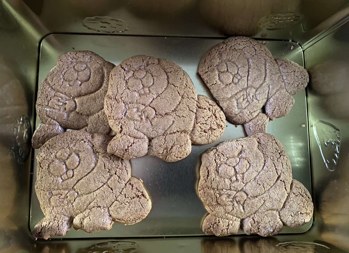 #InternationalBeaverDay