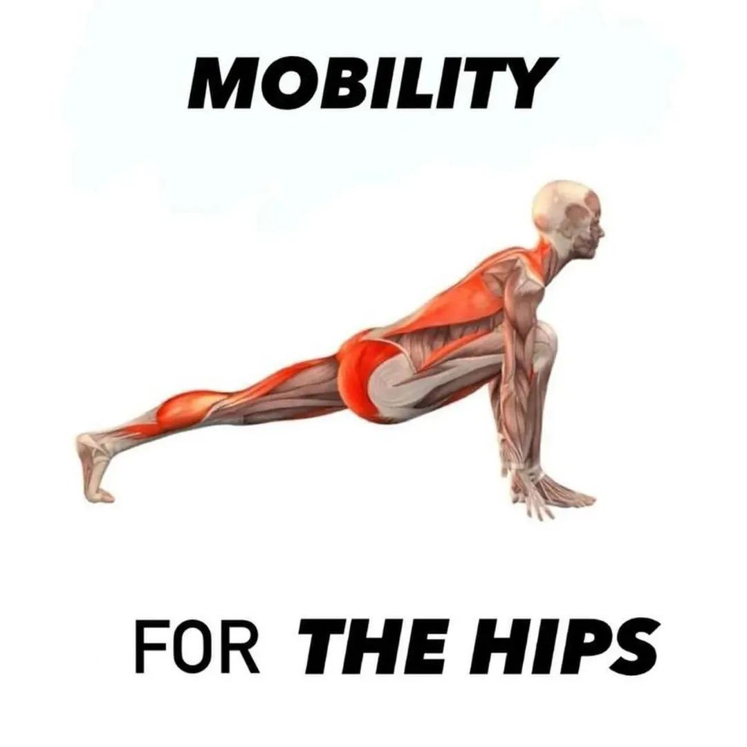 Hip Mobility Exercises For Stronger Pian-Free Hips ....