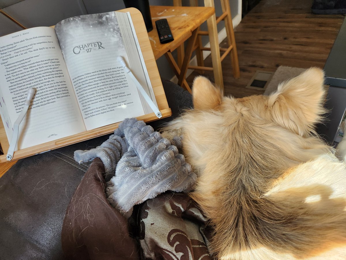 How is your Sunday going? Mine is nice and cozy with a book, and my pups 🥰