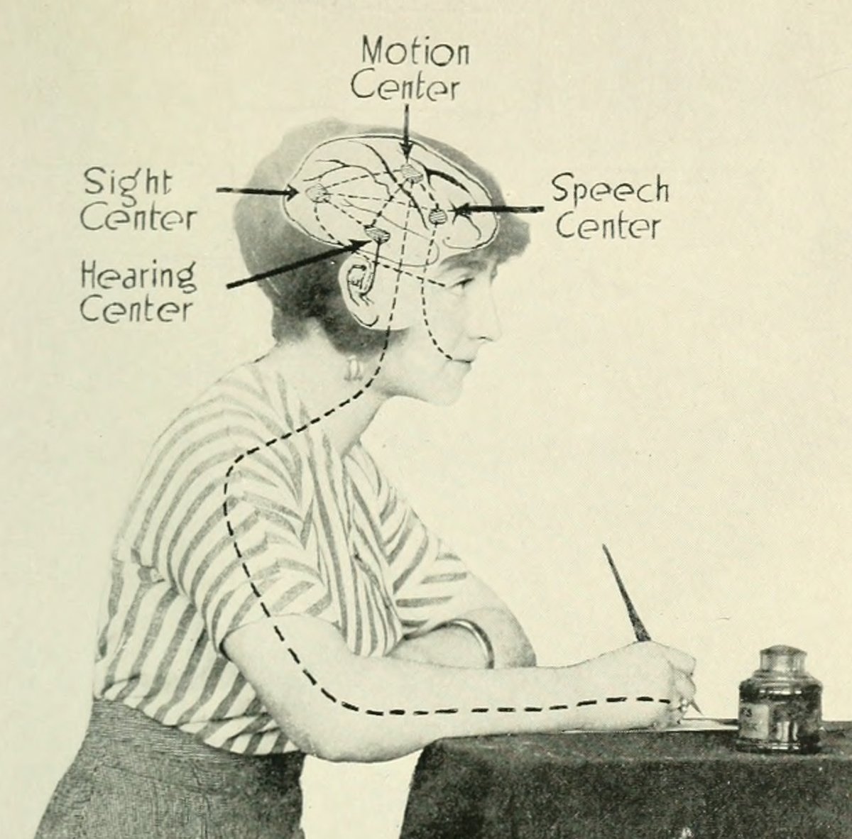 Cerebro humano; 1914.