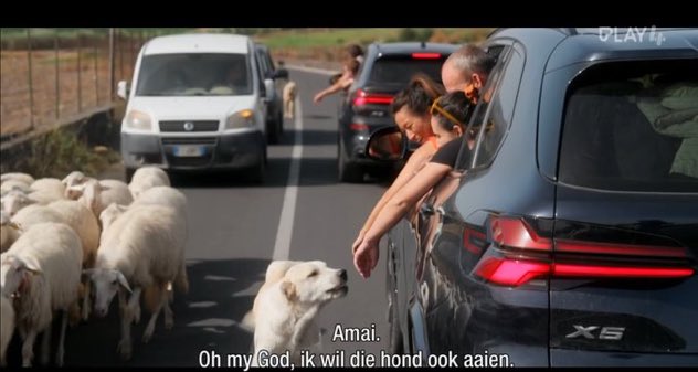 *hond bestaat* 
Ik:
  #demol