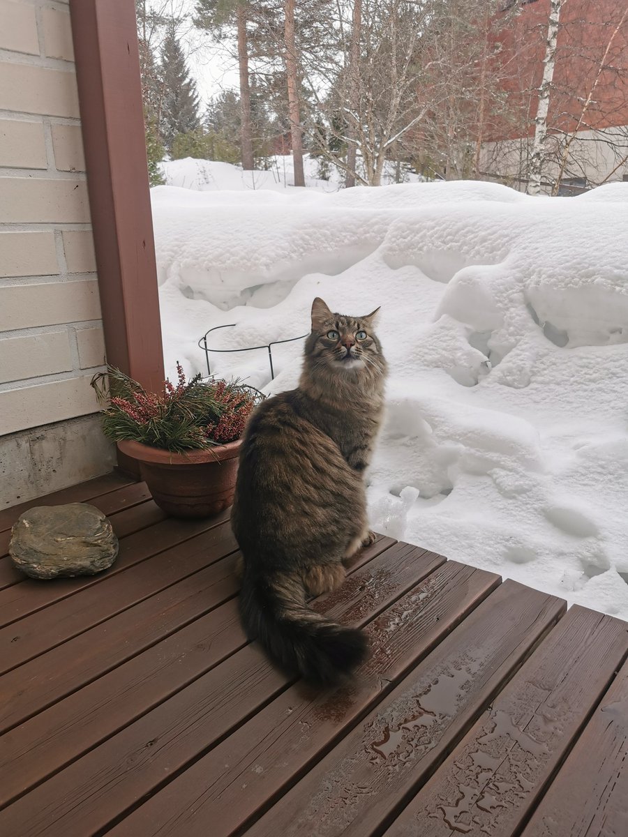 i_m_benjamin's tweet image. Что это, Бэрримор? И это вы называете весной?