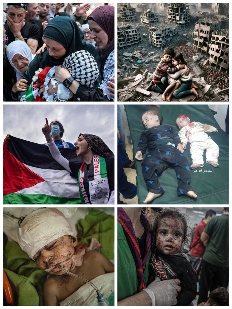 Horror en Gaza. ¡No al exterminio!