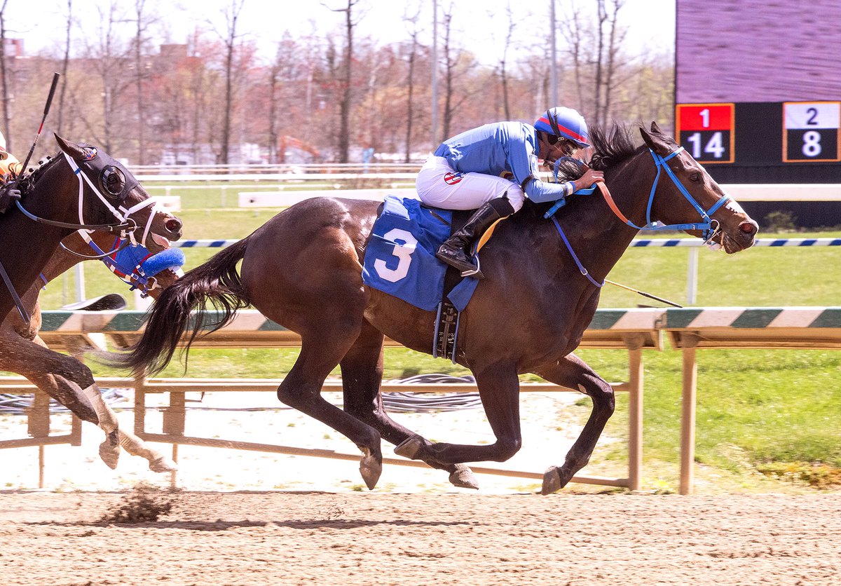 Catahoula Moon, @MarylandTB champion 2YO male of 2023, gets first win since MD Million Nursery in 5 1/2F N1X allowance @LaurelPark. 3YO MD-bred colt by Golden Lad ridden by Jaime Rodriguez for @JRobbRacing and Super C Racing. (Jim McCue 📷)