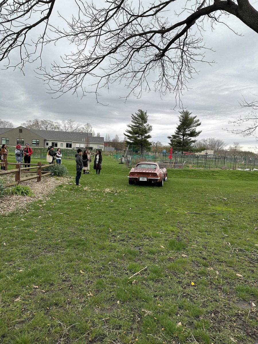 OIHDesigns's tweet photo. @urbanaparks Don’t know if/how illegal this is, but this person is posing their car for a group photo at Meadowbrook and that seems worth reporting. https://t.co/jcReVDu0qB
