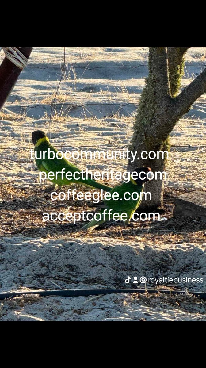 Turbocommunity.com perfectheritage.com acceptcoffee.com coffeeglee.com 7 day public auction on GoDaddy. Minimum bid is $25, all worth a lot of money, give it a chance. #Godaddyauction #7dayauction #domain #PublicAuction #PremiumDomains #Auction