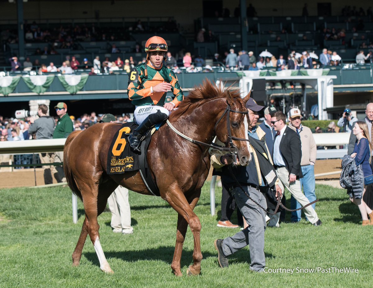 I do believe Arzak (Not This Time) likes Keeneland! Last year’s G2 Woodford Stakes winner returns to Keeneland to take the G2 Shakertown Stakes for owner Sonata Stable and trainer Michael Trombetta.