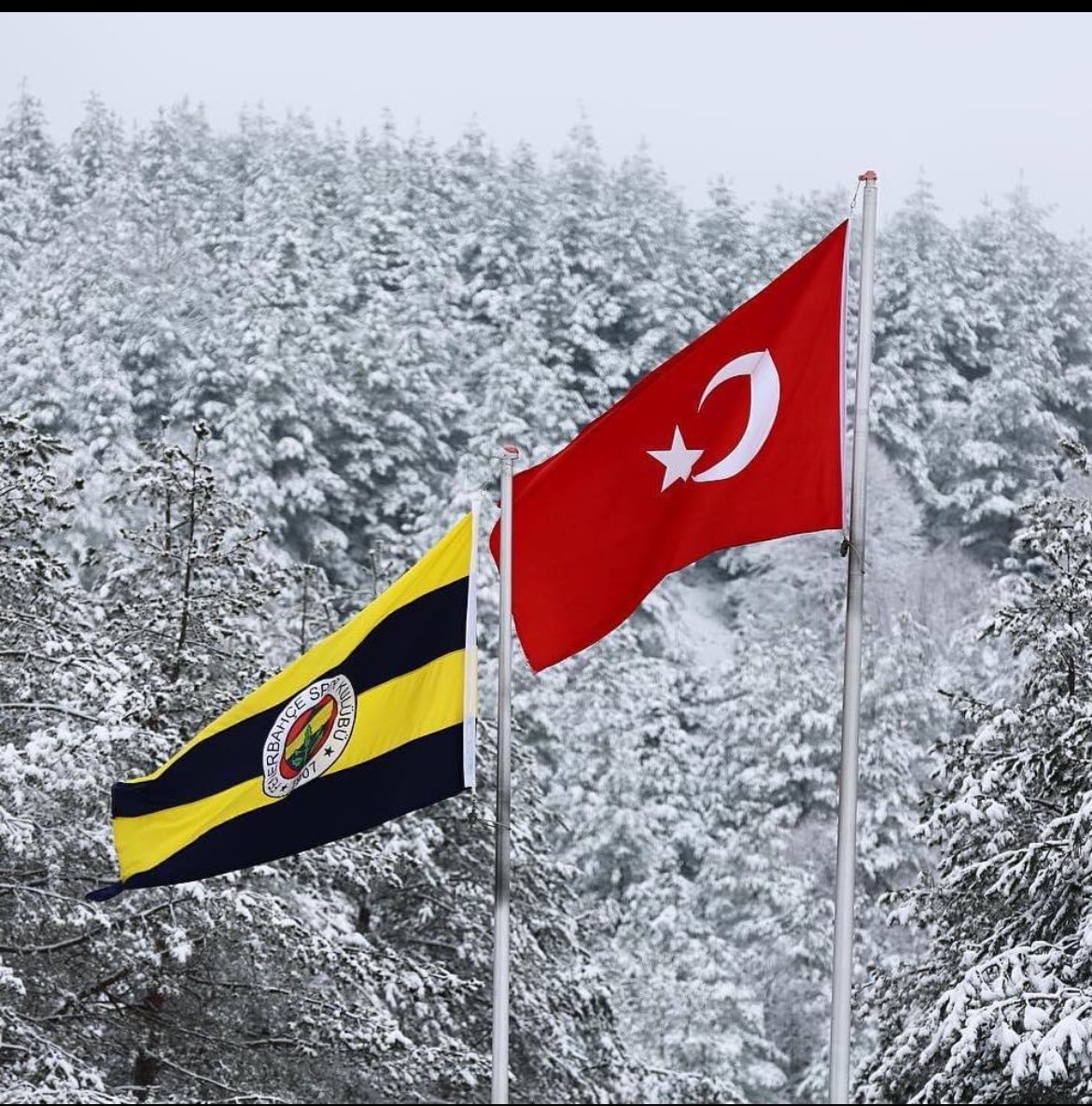 Fenerbahçe hükmen yenilir, ama hükmedenlere yenilmez.
💛💙🇹🇷

#GSvFB