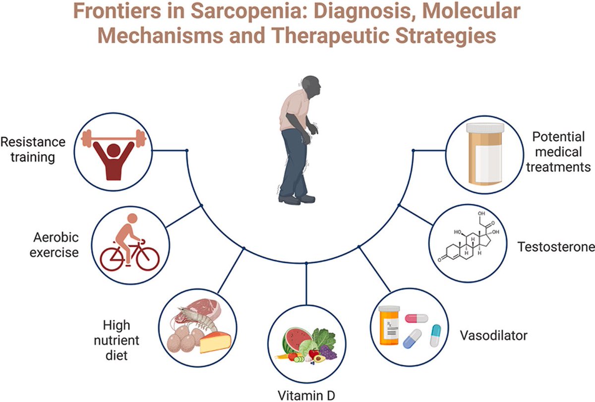 Frontiers in #sarcopenia: Advancements in diagnostics, molecular mechanisms, and therapeutic strategies
sciencedirect.com/science/articl…