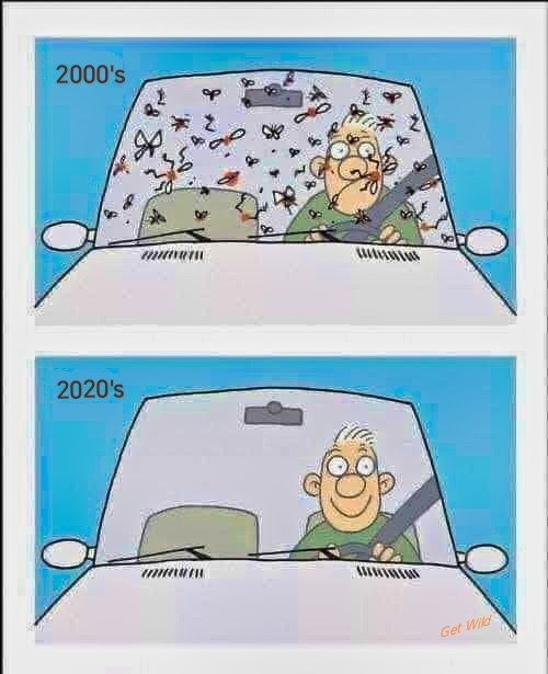 The Windscreen Phenomenon. The observation that fewer dead insects accumulate on the windscreens and front bumpers of people's cars since the early 2000s. It has been attributed to a global decline in insect populations caused by human activity, e.g. use of pesticides.