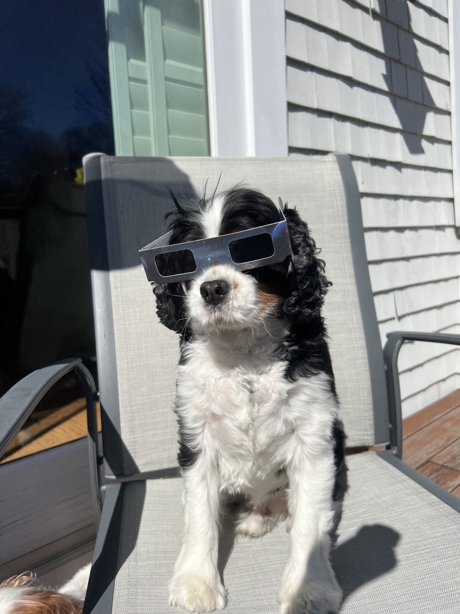 Max is ready for the eclipse. He regularly appears in Dr. Ed's webchats. ------------------------------------------------ NOTE: To avoid missing any of them, sign up now at yardeniquicktakes.com and have them delivered to your inbox as soon as they are posted. SPECIAL