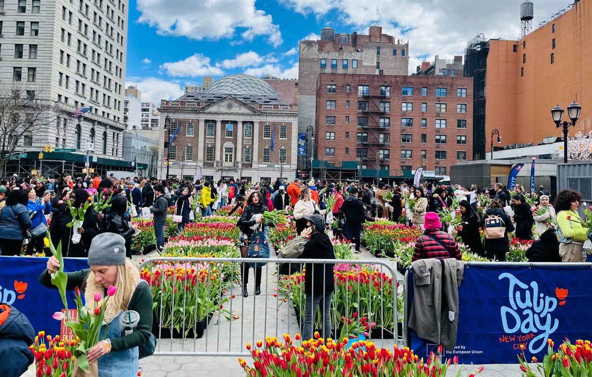 #TulipDay New York City! 🌷🗽 Today, over 17.000 New Yorkers visited Union Square, to pick over 200.000 colorful #tulips to mark the beginning of spring together! Consul Genera, Ahmed Dadou & Commissioner Rodriguez-Rosa baptized the brand new; tulipa “FUTURE400”!