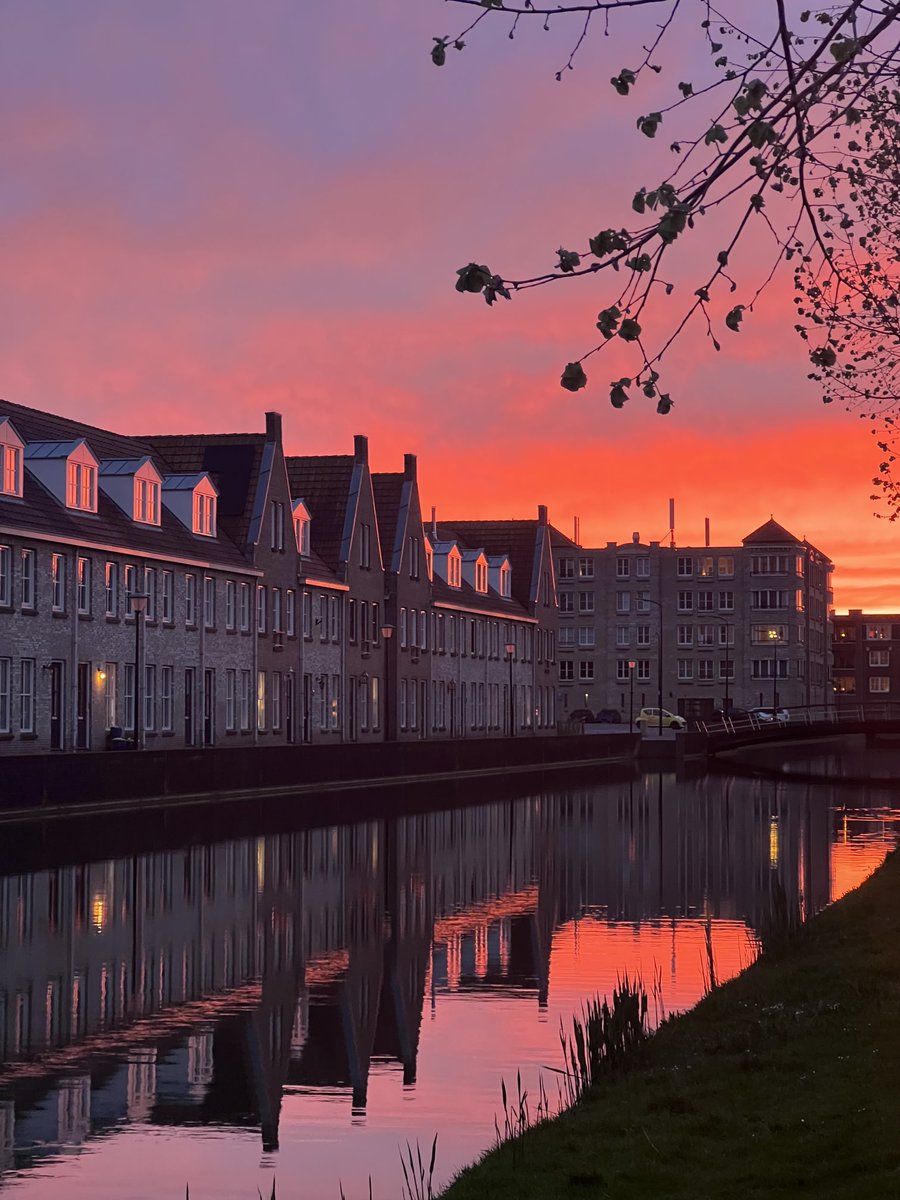N. Donselaar vdm (@ndonselaar) on Twitter photo 