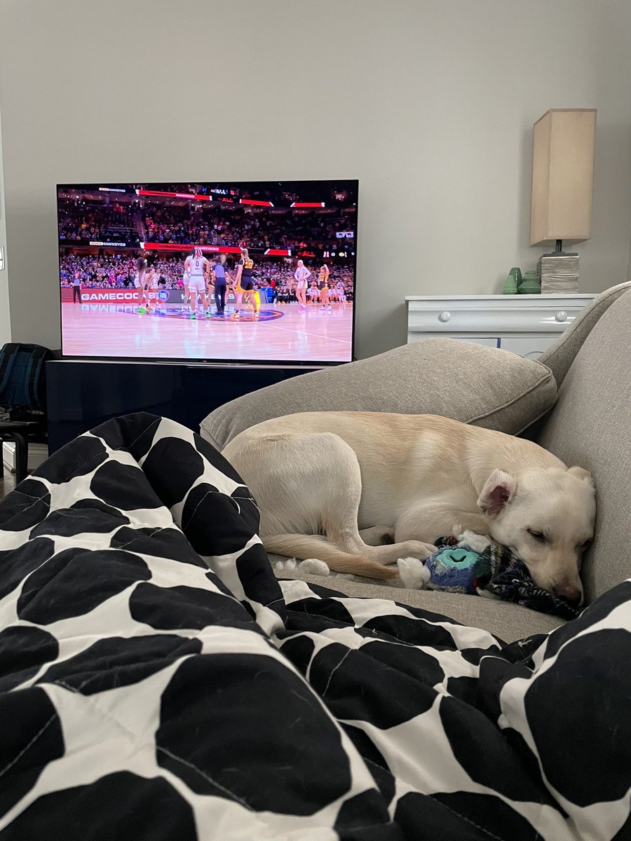 Made sure the pup was tired out before the sports event of the year 🏀 #MarchMadness2024 #MarchMadnessWBB