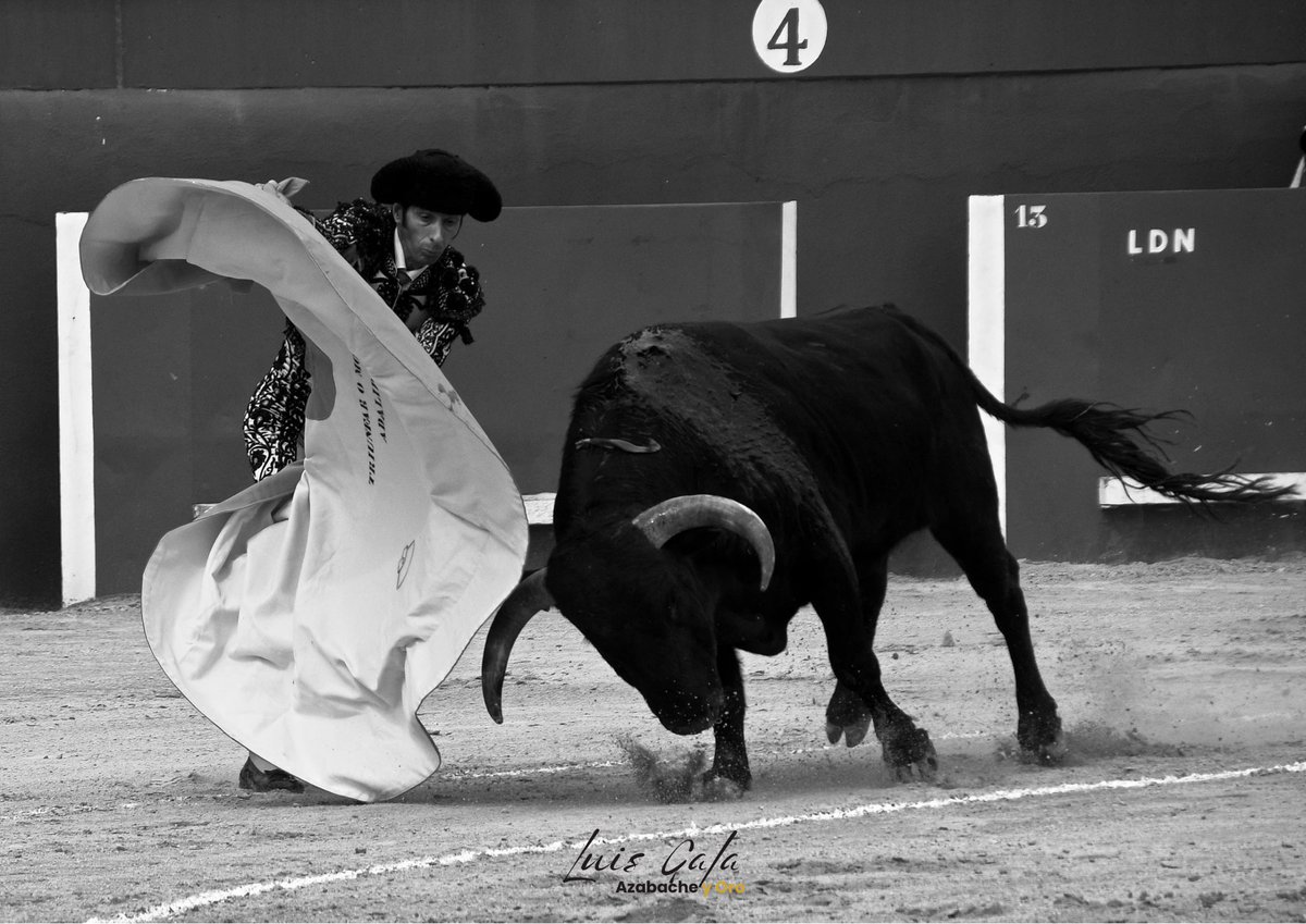 David Adalid @davidadalid1 en Torres de la Alameda.

#TorresDeLaAlameda #FotografíaTaurina #LuisGFotografíaTaurina