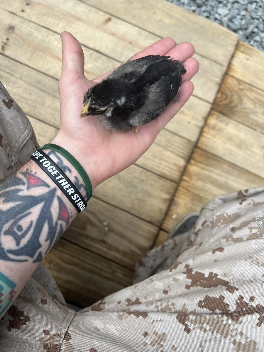 PNWGUERRILLA tweet media