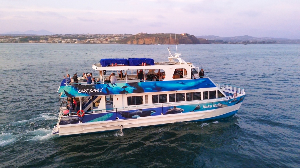 Come celebrate Earth Day and our Birthday with us!! 🐬 ⁠ 📍 Where: @captdaveswhalewatching in Dana Point, California⁠ 🐬 When: April 20 & 21, 2024⁠ 🎟️ Book your seats at: bit.ly/DPWhaleWatch