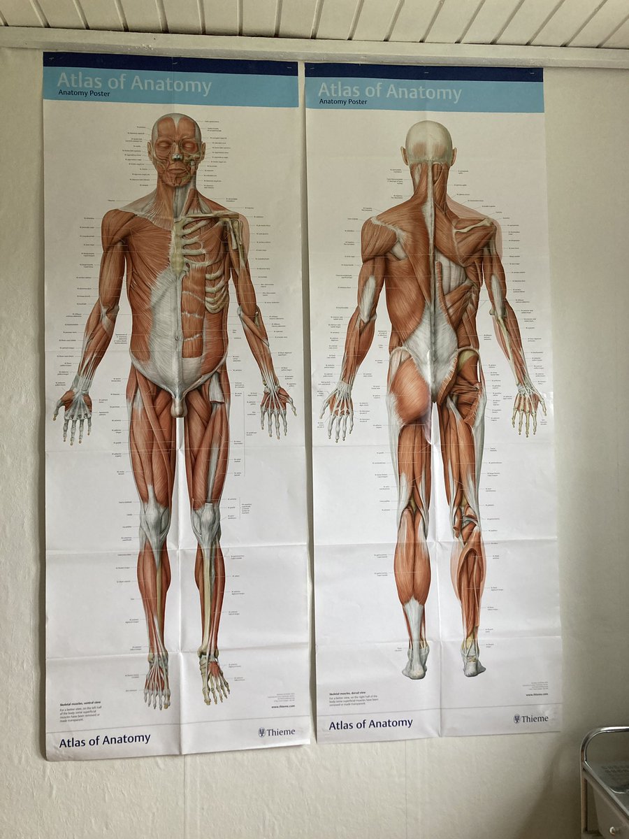 Anatomi 🙏
#massage #wellness #etlivudensmerte #behandlerhuset4735