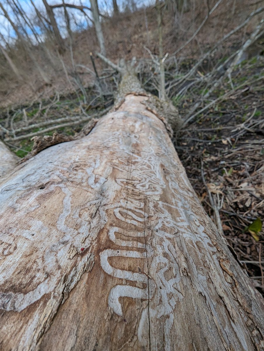 Alexander Chen tweet media