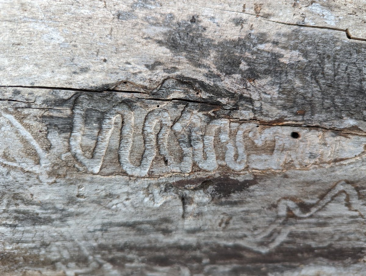 Alexander Chen tweet media