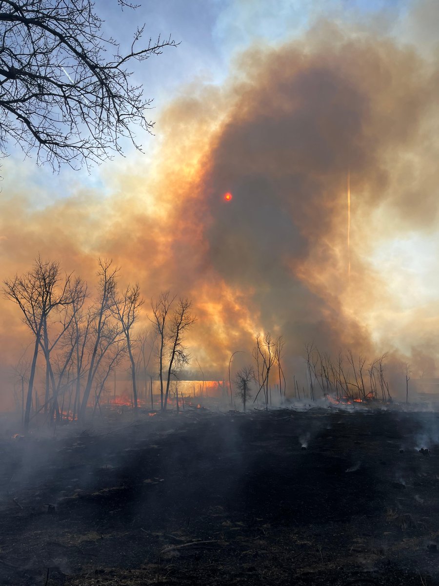 Due to its proximity to urban areas, Rocky Mountain Arsenal NWR (CO) is tasked w/ reducing wildfire risk to local communities. Recently, the refuge completed over 1k acres of #rxfire to do just that, as well as stimulate habitat growth for refuge wildlife. #GoodFire