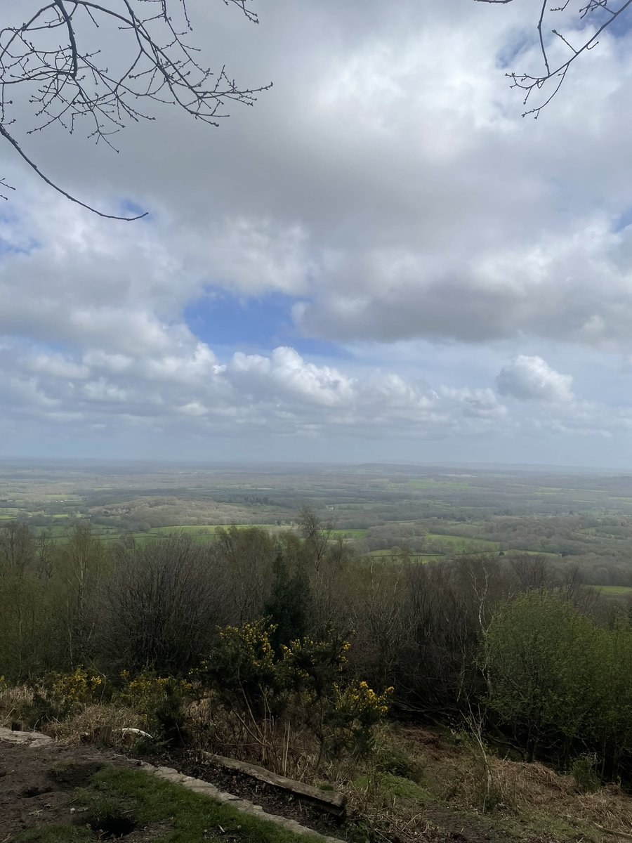 Too windy for cycling this weekend so we went walking instead. The English countryside has beautiful nature 🌳 😍