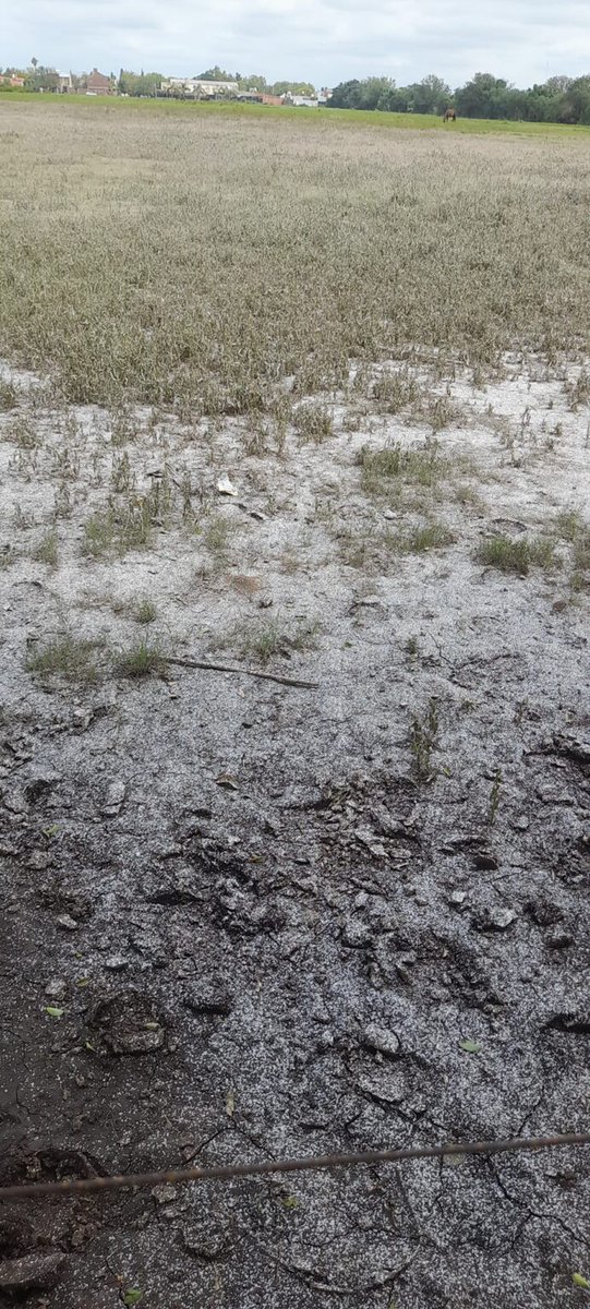 #Territorios ⚠️ La ciudad de San Nicolás de los Arroyos, al norte de la provincia de Buenos Aires, fue objeto de noticias a nivel nacional por una explosión en la empresa Atanor, una de las principales productoras de herbicidas de Latinoamérica.