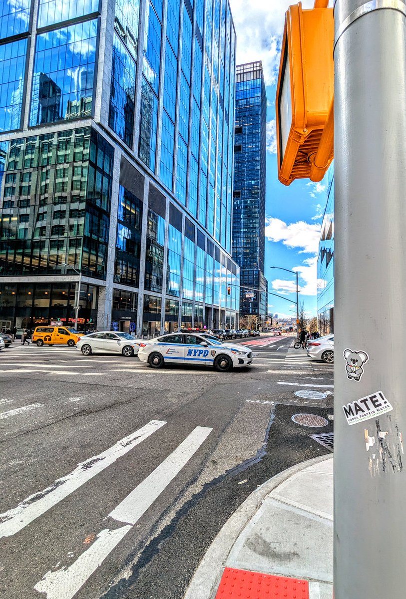 When Crikey heads to the city that never sleeps, you know he's gotta leave a lasting impression for all to see.

We'll be available here before you know it!! 🗽

#vegan #dairyfree #glutenfree #vodka #water #can #georgia #koala #protein #concretejungle #newyork #hudsonyards #bagel