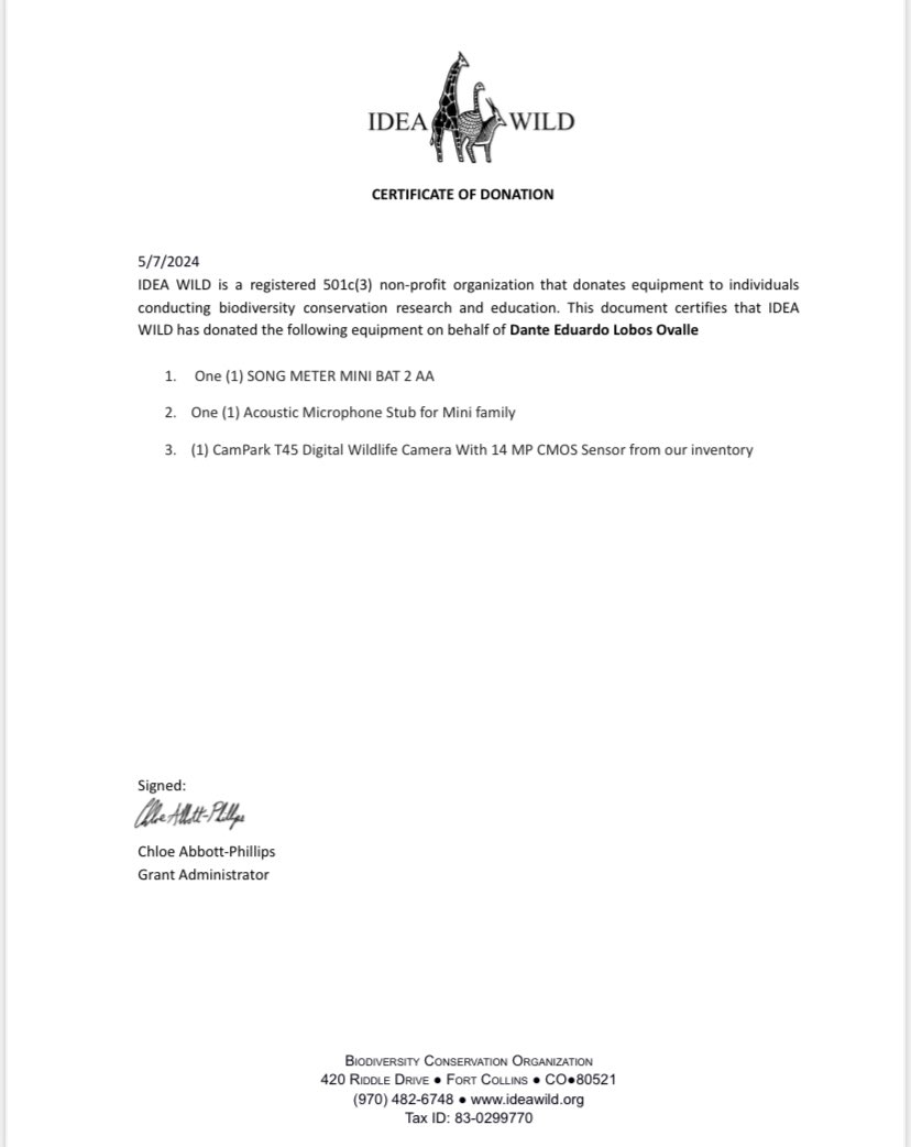 dlobos18's tweet image. ¡Buenas noticias! Postulación exitosa al proyecto: “Spatiotemporal Dynamics of Bat Communities in the Valdivian Temperate Rainforest Ecoregion", muchas gracias @IDEAWILD 🦇👍🏾🏃🏾‍♂️