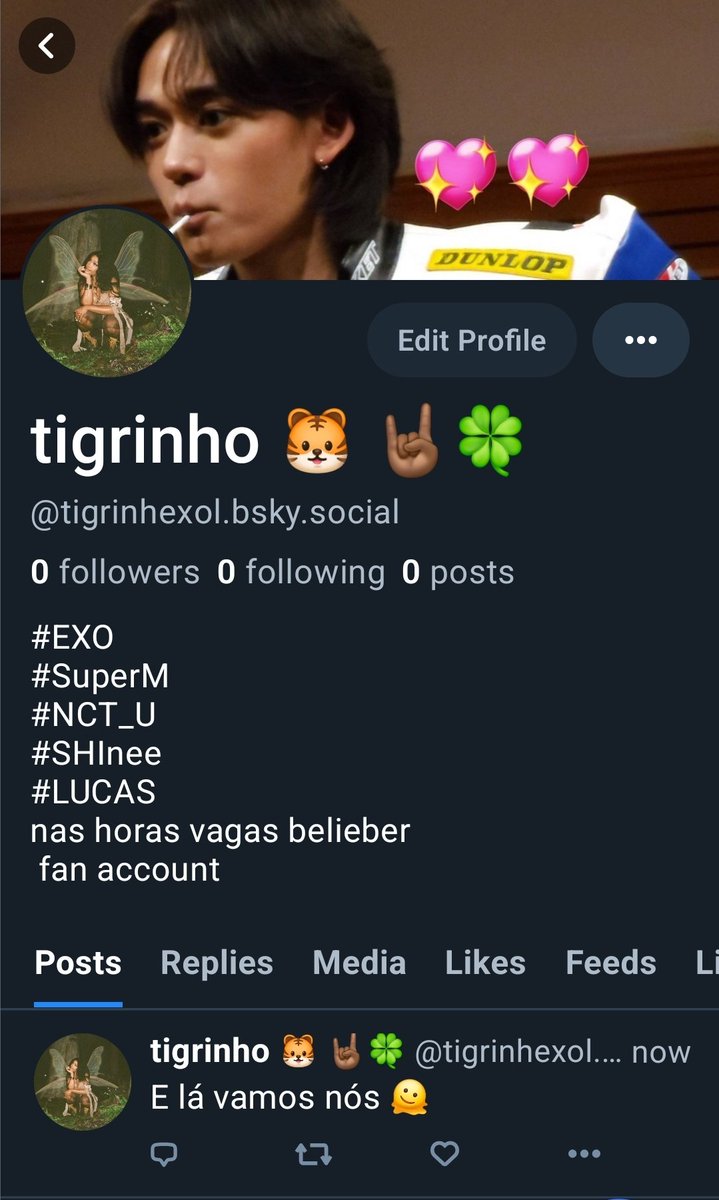 tigrinho 🐯 🤘🏾🍀 tweet media