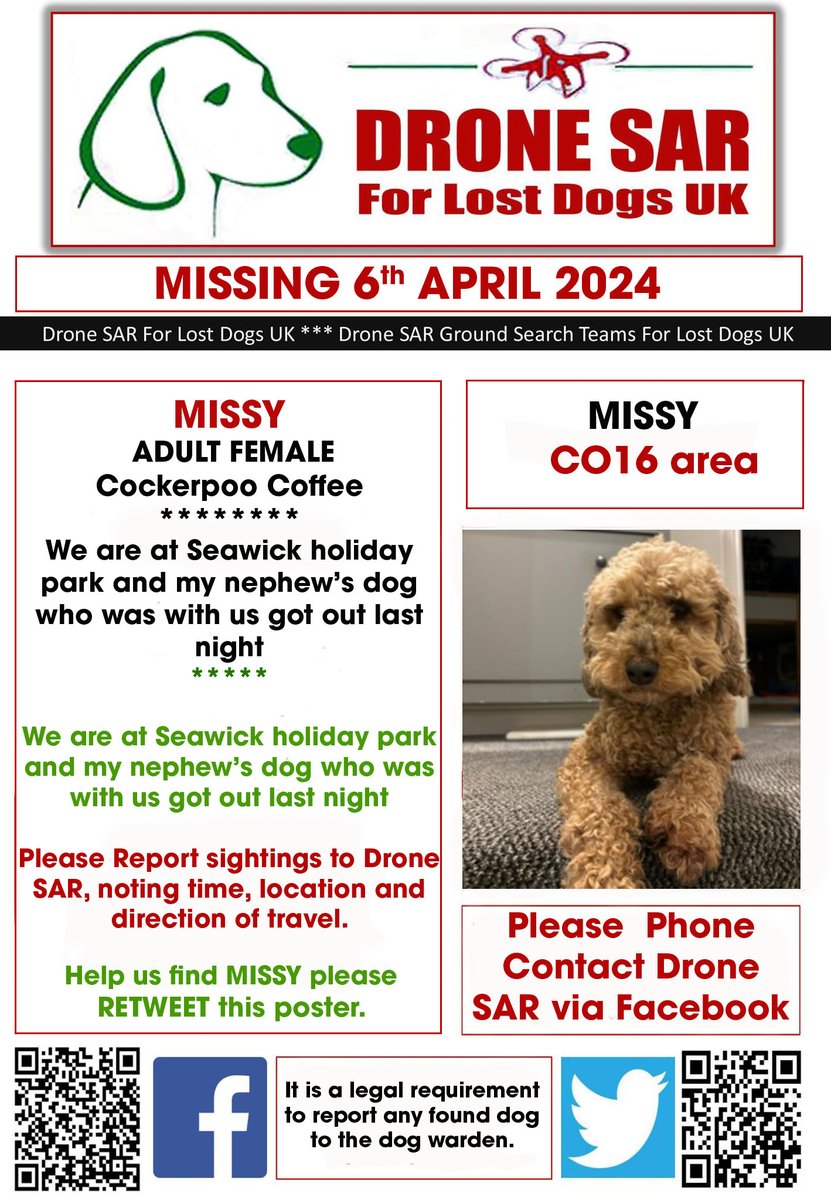 #LostDog #Alert MISSY Female Cockerpoo Coffee (Age: Adult) Missing from st Osyth, Clacton on sea, CO16 area, South East on Saturday, 6th April 2024 #DroneSAR #MissingDog