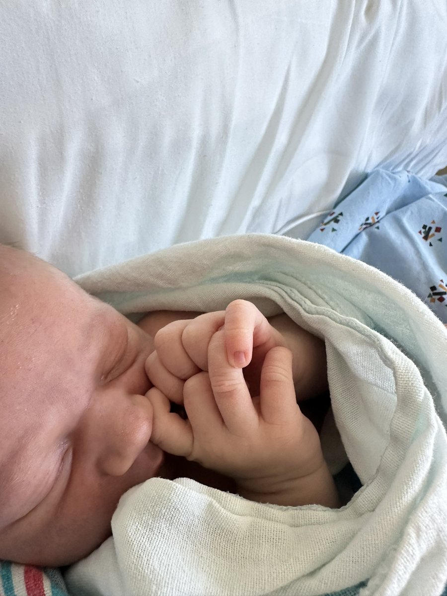 CoachFess's tweet image. Newest member of the team 🍼

Frederick Robert Fessler

Blessed🙏 @KelseyFessler_
