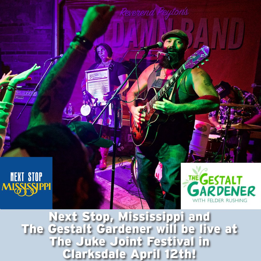 Make plans to join The Gestalt Gardener and Next Stop, Mississippi at The Juke Joint Festival in Clarksdale this Friday, April 12, for special live broadcasts! 

Hear about the amazing musical acts taking the stage all weekend, monkeys riding dogs, and MORE. 

📸 by Lou Bopp