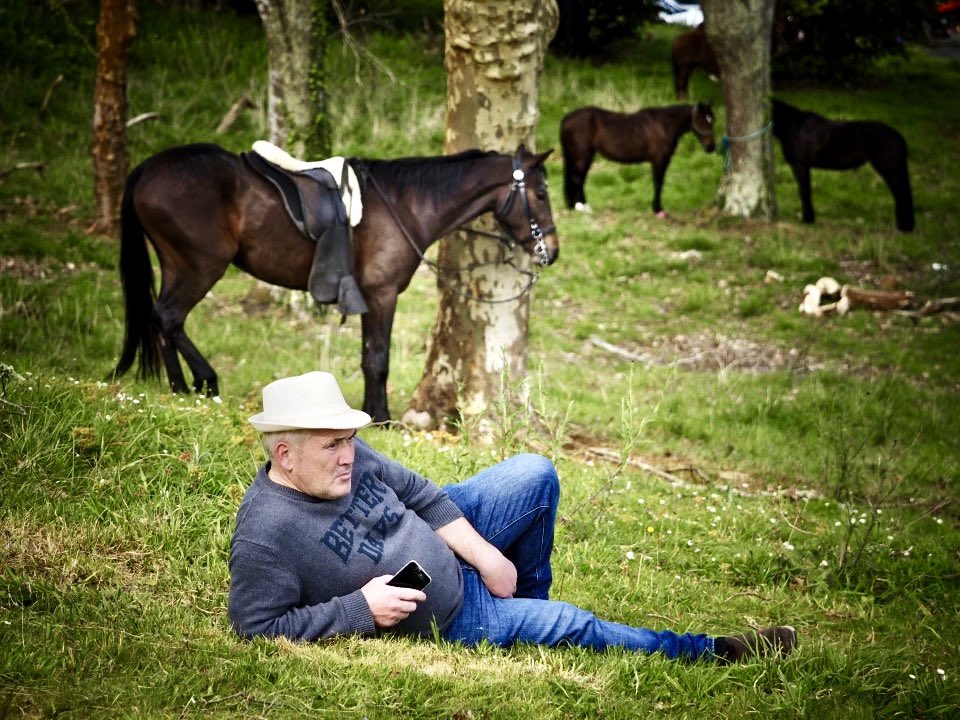 Un día nas carreiras #Ferrol #Cerdido #caballos #cabalos #Galicia #streetphoto #press #prensa #Fotografía #fotoperiodista