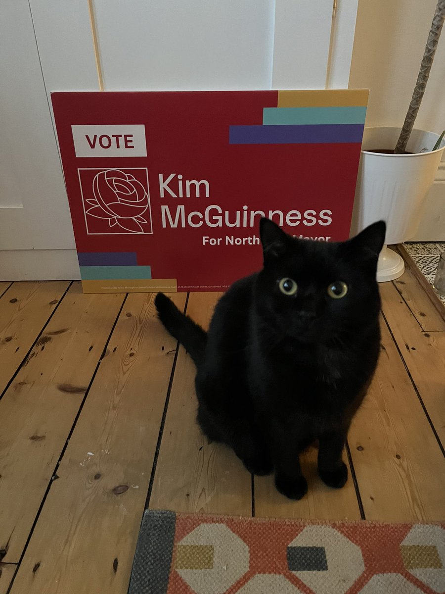 #CatsForKim #VoteLabour 🌹 @KiMcGuinness