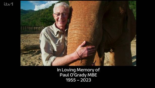 putthetellyon's tweet photo. #POGElephants #POGDogs #PaulOGrady https://t.co/KUvVsYlE8H