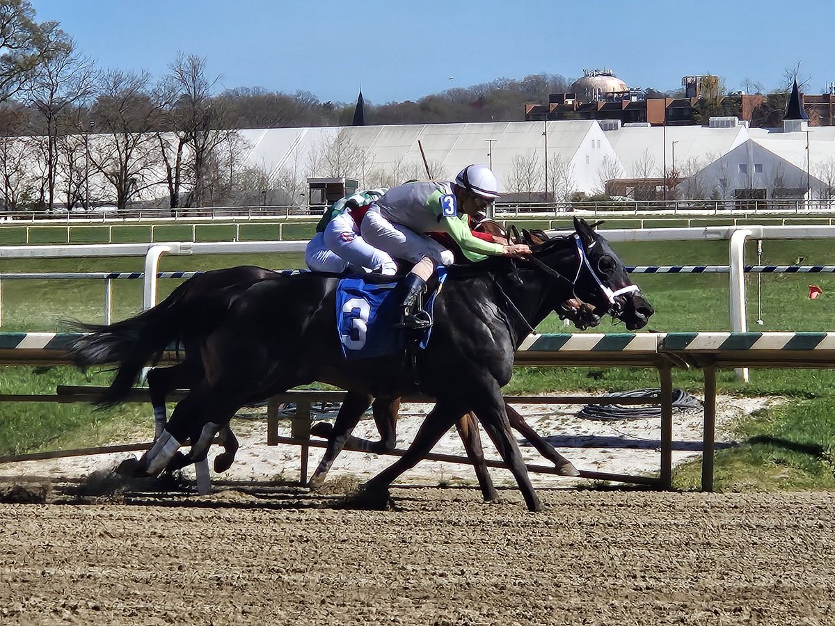 My Flickr and @SheldonRussell1 take the @LaurelPark featured allowance for @BTRracingstable