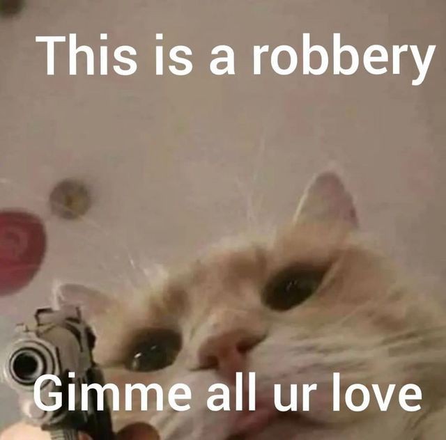 ‍ ‍ ‍ ‍‍ 𝓕rank 𝓩hang ָ֢ ‍ ‍ ‍ ‍‍ (@shiftingwar) on Twitter photo 