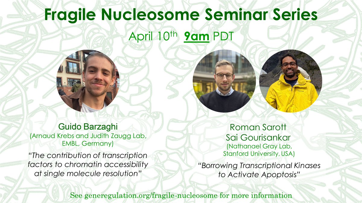 FNucleosome's tweet photo. Join us this Wednesday for our next Fragile Nucleosome seminar, with talks from Guido Barzaghi (@BarzaghiGuido) and Roman Sarott (@RomanSarott) &amp; Sai Gourisankar (@saigourisankar)!

Register here: https://t.co/6A6uIjZRft https://t.co/E1IlykAc6g