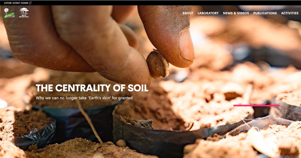 Read more about the Centrality of Soil: Why we can no longer take soil for granted: 👉cifor-icraf.org/the-centrality… @CIFOR_ICRAF @gaspworld @CatholicRelief @4per1000 @Soil_Science @USDA @FAO @UNCCD @UNBiodiversity @ca4sh_global @ASA_CSSA_SSSA @theGSBI @ISRICorg @theartofsoil