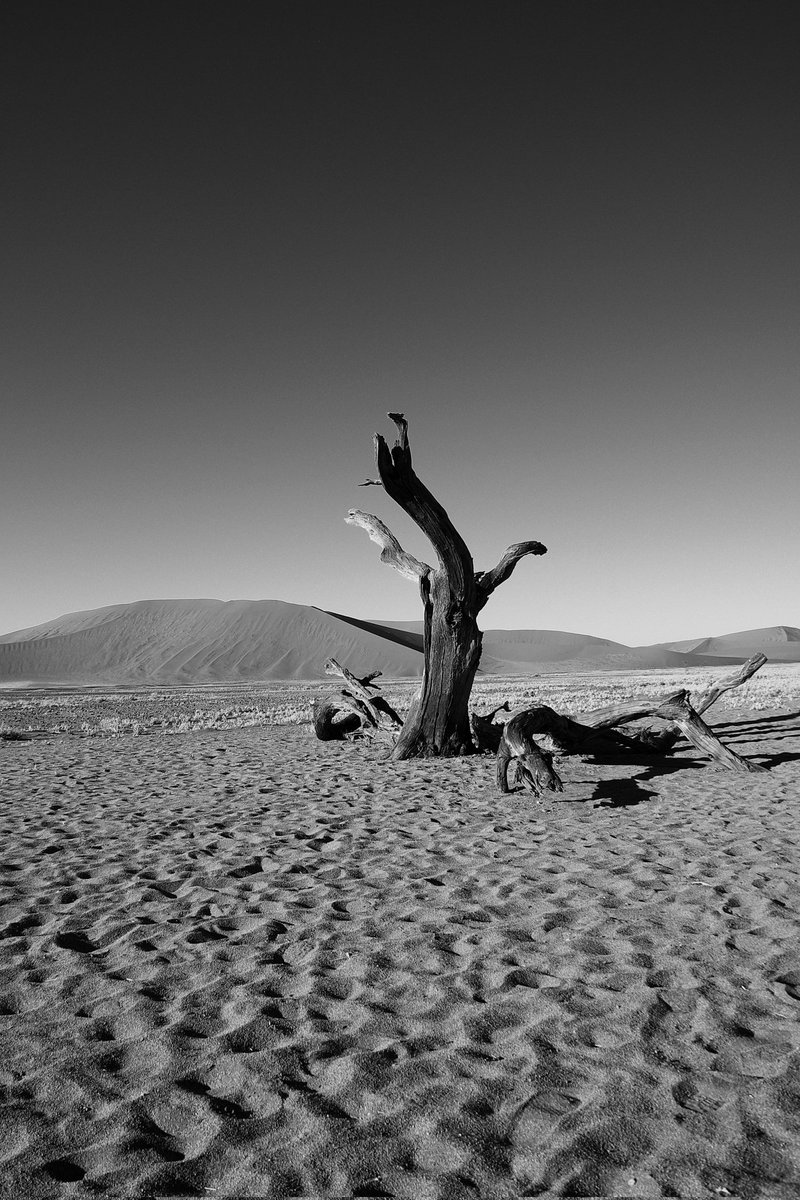 #Namibia 25.11.19 The sundial whispers the hours, minutes, seconds For chipped hearts Our time's eons are less than a breath And yet, the heart feels its death #poetrylovers #PoemADay #photography #sundayvibes #NaturePhotography #NFTs #NFT #poetrycommunity #blackandwhitephoto