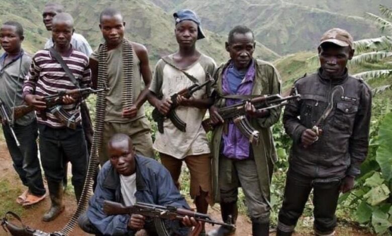 🇨🇩 #Congo: Militants from the Cooperative for the Development of the Congo (CODECO) carried out a massacre in Ituri province this weekend, killing at least 25 civilians in the village of Galayi. CODECO has carried out increased attacks since the beginning of 2024, marking…