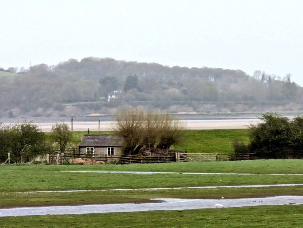 After a weekend in 'Skye' a visit to @WWTSlimbridge  Plenty of wildfowl seen close by or from   hides, incl. a view over the Severn estuary from the Estuary hide. Well worth a visit!
@candmclub
@Media_CAMC  #Gloucestershire #inspiringadventures #atouraroundtheuk #slimbridgewwt
