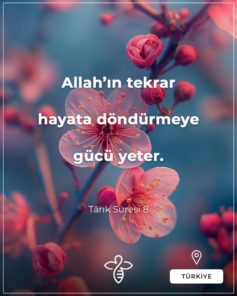 İnsan neyden yaratıldığına bir baksın! O, omurga ile kaburga kemikleri arasından atılan bir sudan yaratıldı. Allah’ın o insanı tekrar hayata döndürmeye elbette gücü yeter. (Târık Suresi 5-8)