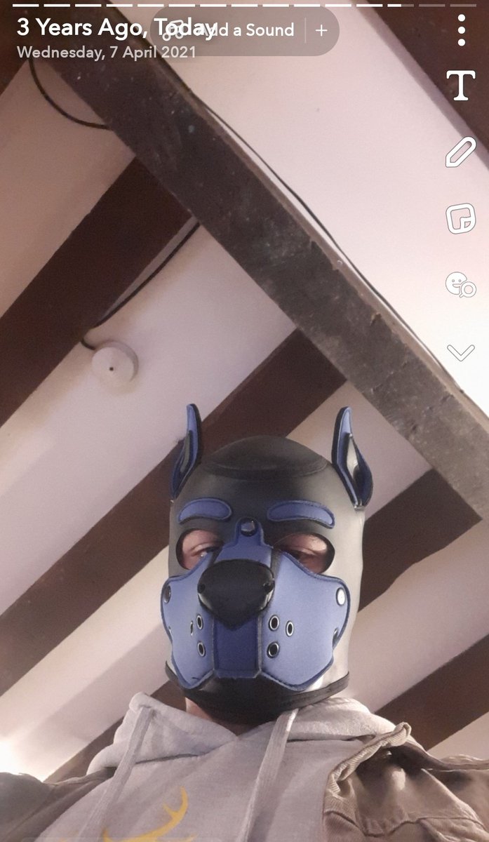Mute🐾 tweet media